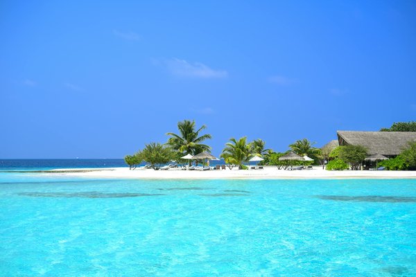 Découvrez le charme des petites antilles