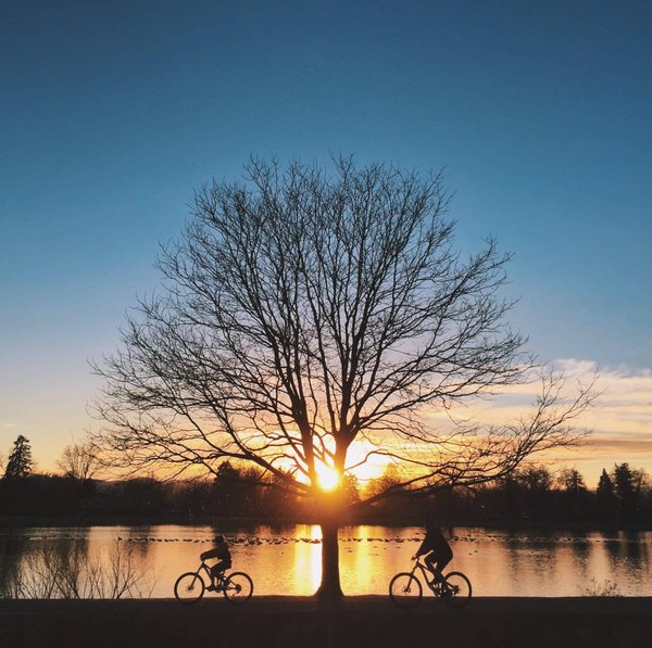 Que faire pendant un séjour à Annecy ?